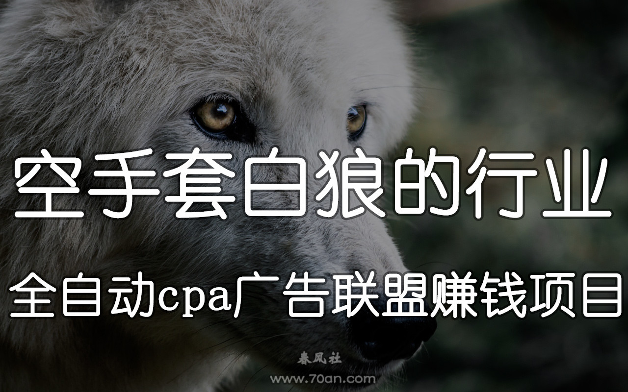 空手套白狼的行业：全自动cpa广告联盟赚钱项目