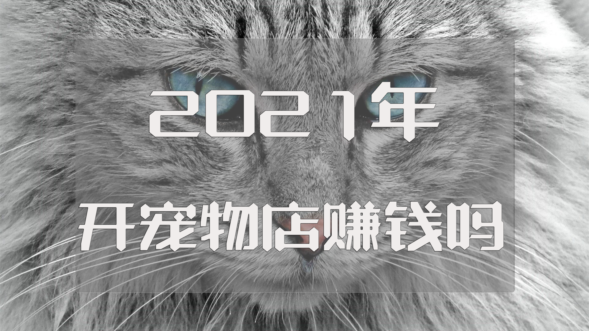 021年开宠物店赚钱吗？那是肯定的"