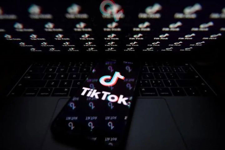 怎么在抖音国际版Tik Tok赚钱？Tik Tok撸美金项目